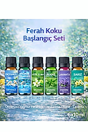 Ferah Koku Başlangıç Seti - Saf Esans - Oda Ve Ortam Kokusu - Aromatik Esans 6x10ml